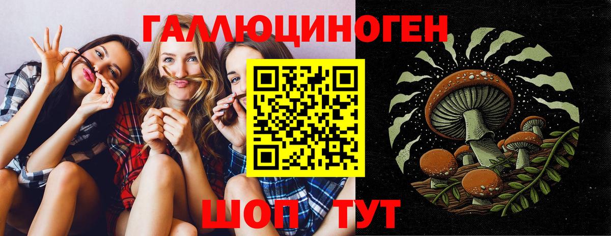 Когалым  Галлюциногенные грибы мухоморы  Вход с VPN 